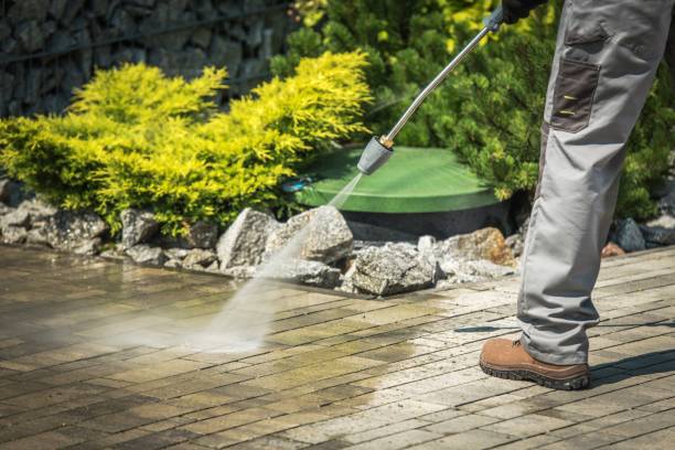 Best Winterizing Services  in Finderne, NJ